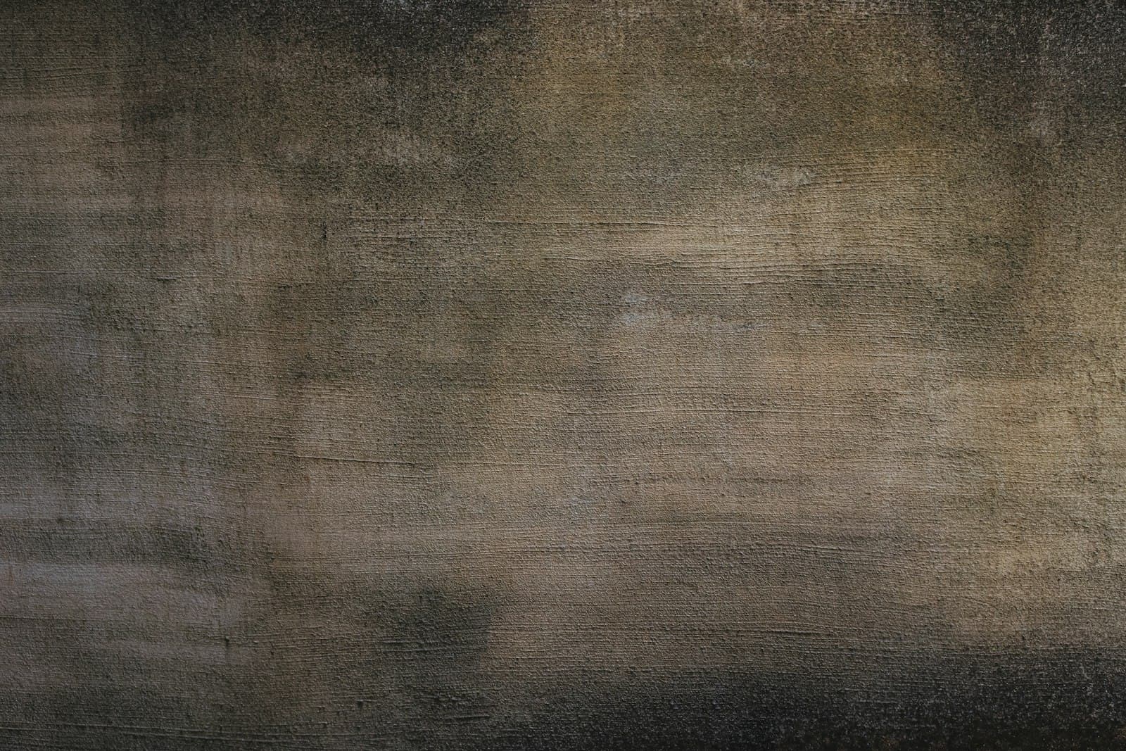The Artist